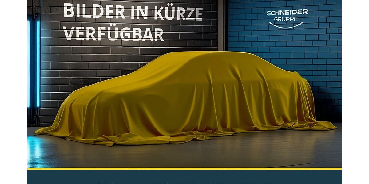 Cupra Ateca 8.575 km 35.050 &euro; Hof 95030